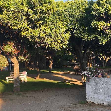 La Purissima Bed and Breakfast Alghero Esterno foto