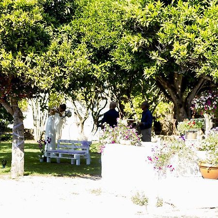 La Purissima Bed and Breakfast Alghero Esterno foto
