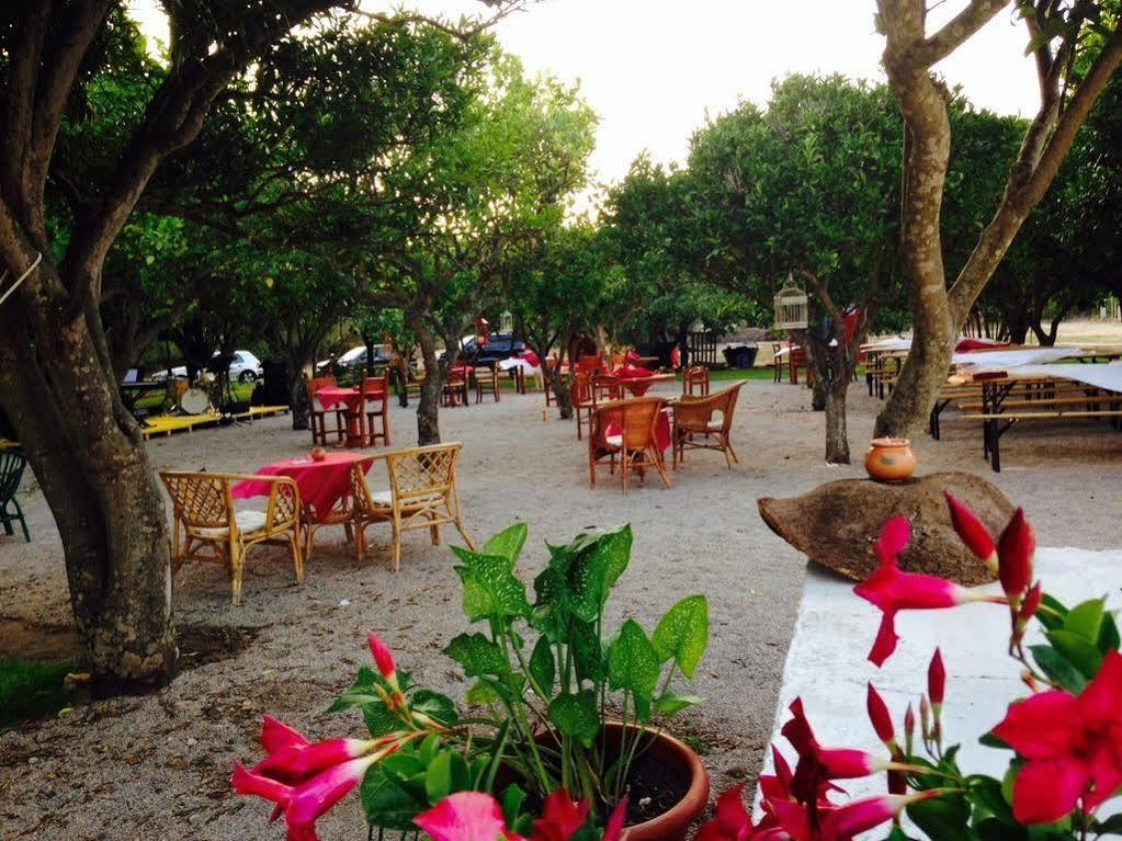 La Purissima Bed and Breakfast Alghero Esterno foto